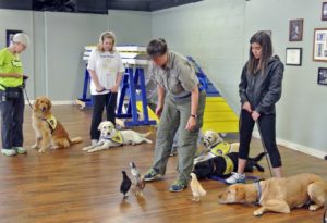 CPT-CCI Puppy Raiser Class