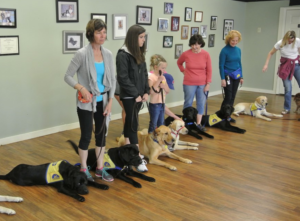 Dog training and service in Atlanta CPT-CCI Puppy Raiser Class