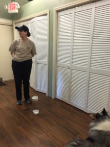 CPT Canine Marshmallow Test