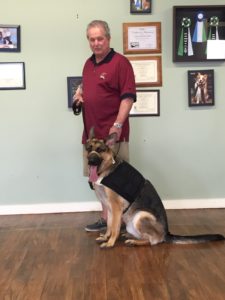 Apparel- In Ike's case the vest had salient benefits. Whereas Ike was noticeable reactive during his first appointment, in which he did not wear an apparel product, while wearing the vest Ike remained conspicuously calm and could be brought very close to the volunteer dog without exhibiting an aggressive response.