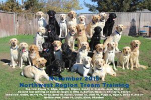 The November 2015 CCI Northwest Region graduates, many of whom participated in the Dog Star fMRI studies at UC Berkeley.