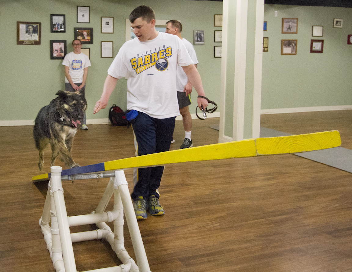 Dog Agility Training Dog Training Atlanta CPT Training